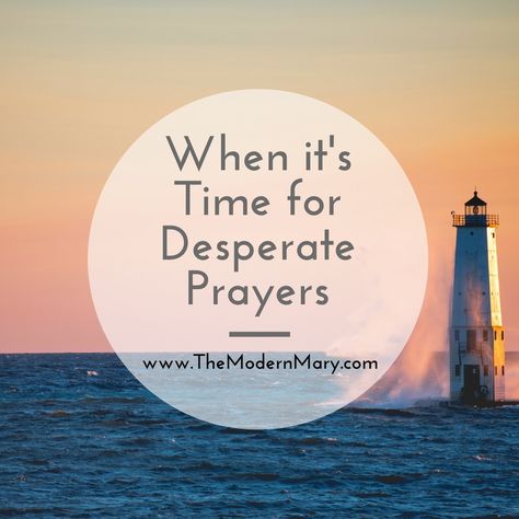 Have you ever felt the need to cry out to God in desperation? This prayer is for you. Prayer is such a vital part of our faith walk, it holds great power! Inner Beauty Quotes, Prayer Journal Prompts, Faith Walk, Biblical Teaching, Prayer Times, Funny Thoughts, Bible Knowledge, Feeling Lost, Great Power