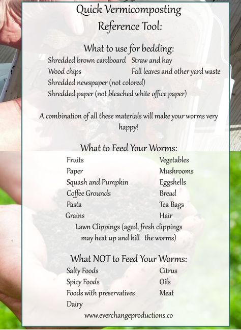 Quick Reference For Vermicomposting: What to Feed and What Not to Feed Your Worms Worms Preschool, Worm Farm Diy, Composting Tips, Apartment Composting, Worm Beds, Worm Composting Bin, Composting Ideas, Night Crawlers, Diy Homesteading