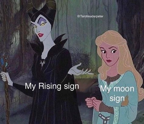 Aquarius Moon Sign, My Moon Sign, Libra Moon, Capricorn Rising, Aries Baby, Sagittarius Moon, Rising Sign, Aquarius Rising, Gemini Rising