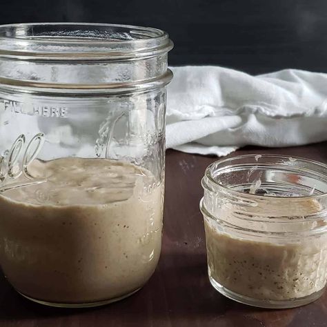 What is the difference between sourdough starter and discard? Frozen Cookies, Sour Taste, What Is The Difference Between, Cut Out Cookies, Baking Flour, Sourdough Starter, Bread Dough, Loaf Bread, Sourdough Bread