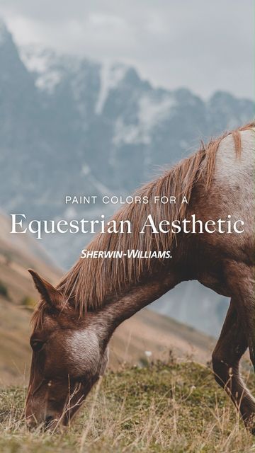 Sherwin-Williams on Instagram: "Introducing the Equestrian-inspired palette, made up of six rustic colors rooted in tradition. Love these hues and want to use them in your next paint project? Save this post." Equestrian Aesthetic, Rustic Colors, Sherwin Williams, Painting Projects, Equestrian, Paint Colors, Paint, Color, Instagram