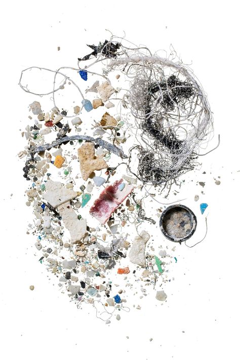 Microplastics have invaded virtually every crevice on Earth | National Geographic Tiny Fish, Ocean Pollution, Awareness Poster, Food Web, Plastic Pollution, Things Under A Microscope, Eco Design, A Day In Life, Plastic Waste