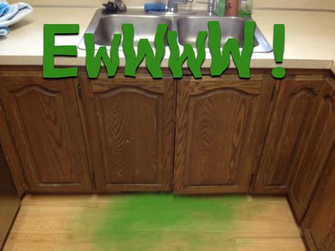 Opening Up A Kitchen, Mold Remover On Wood, Mold Smell, Wood Refinishing, Clean Kitchen Cabinets, Kitchen Smells, Old Cabinets, Wood Kitchen Cabinets, Cleaning Wood