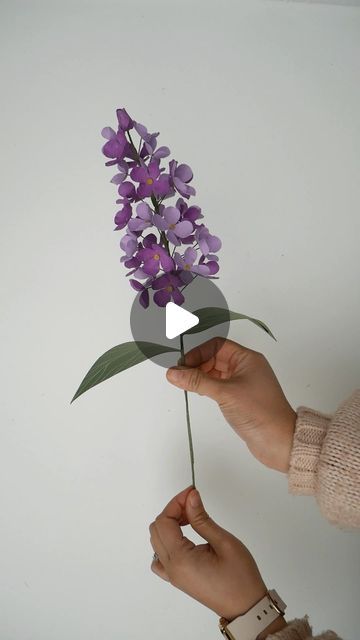 Deaney Weaney Blooms on Instagram: "Guess the number of paper lilac flowers in one stalk 😉  Catch me at the @rochesterlilacfestival this Mother’s day weekend 💜  I’ll have limited pots of paper lilac available 💜 Hope to see you there 🫶🏼  #rochesterlilacfestival #artinthepark #paperlilac #lilac #rochesterny #rocny #paperflowers #paperflowers" Lilac Paper Flowers, Paper Lilac Flowers Diy, How To Make Purple, Art In The Park, Lilac Flowers, Sugar Flowers, Purple Lilac, Crepe Paper, Flowers Diy