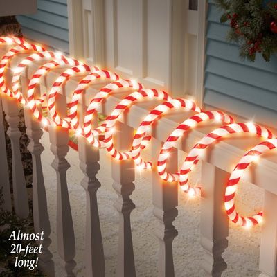 Candy Cane Rope Light Christmas Lighting Christmas Exterior, Affordable Christmas Decorations, Lights Ideas, Led Christmas Tree, Christmas Lighting, Unique Christmas Decorations, Rope Lights, Collections Etc, White Candy