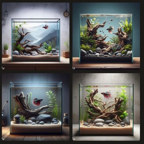 Cube Fish Tank, Aquarium Photography, Small Fish Pond, Aqua Scape, Aquascape Ideas, Aquascape Design, Aquatic Garden, Aquarium Driftwood, Fresh Water Fish Tank