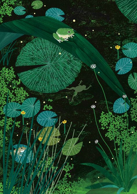 Showcase and discover the latest work from top online portfolios by creative professionals across industries. A Frog, The Frog, Water Lilies, Lily Pads, Lily, Water, Green