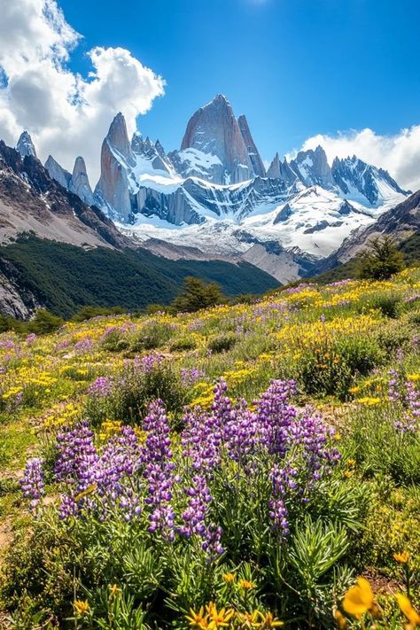 "Discover the world’s most epic mountain views and add them to your adventure list! 🏔️🌄 Perfect for capturing breathtaking moments. #MountainInspo #AdventureInNature #EpicLandscapes" Wildflower Mountain, Scenic World Blue Mountains, Purple Mountain Majesty, Adventure Bucket List, Mountain View, Bucket List, In This Moment