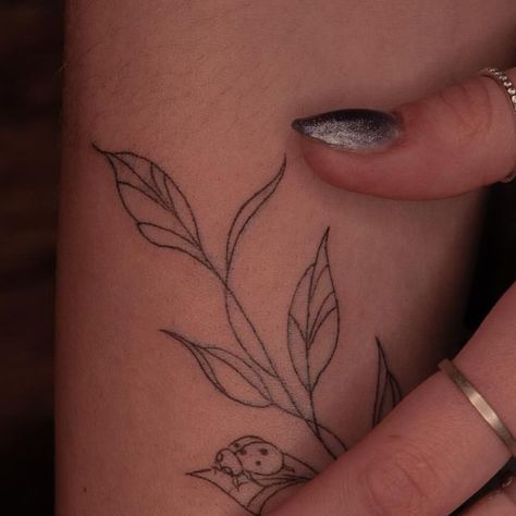 𝓐𝓵𝓲𝓬𝓲𝓪 on Instagram: "Beautiful warp around✨  Love the little bee and the ladybug 🐝🐞  #tattoo #tattooideas #tattooinspiration #tattoodesigns #beetattoo #ladybugtattoo #ladybug #bee #leaftattoo #warparoundtattoo" Love Bug Tattoo, Ladybug Tattoo, Leaves Tattoo, Leaf Tattoo, Lady Bug Tattoo, Bug Tattoo, The Ladybug, Bee Tattoo, Love Bugs