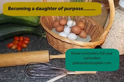 Home economics course for free: online lessons.  An awesome week by week curriculum. Home Economics Classroom, Homeschool Electives, Economics Lessons, Family And Consumer Science, Kitchen Skills, Homeschool High School, Homeschool Life, Homeschool Lesson, Homeschool Help