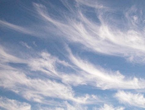 CIRRUS: Wispy and high in the sky, these clouds are actually made up of ice crystals formed from the freezing of supercooled water droplets and are usually present on a clear day. Cirrus clouds are sometimes referred to as “feather” clouds or “mare’s-tails” and point in the direction of air movement at their elevation, which is usually about five to six miles high. Cirrus Cloud, Angel Clouds, Water Droplets, Off Grid Living, Cloudy Day, Natural Phenomena, Emergency Preparedness, Nature Beauty, Painting Inspiration