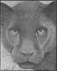 black panther jewelry - Google Search Panther Art Drawing, African Totem, Wildlife Sketches, Black Panther Animal, Panther Drawing, Black Panther Face, Black Panther Drawing, Panther Face, Panther Animal