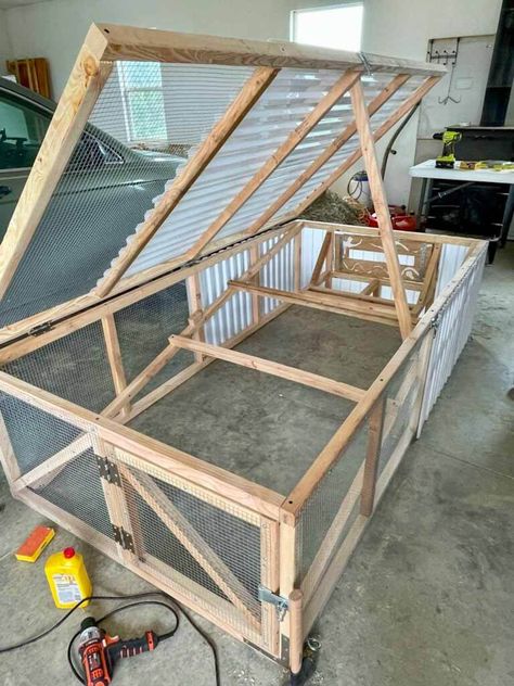 Pallet Backyard, Decorating Backyard, Coop Layout, Justin Rhodes, Chicken Coop Designs Diy, Raising Meat Chickens, Chicken Coop Plans Free, Coop Decor, Mobile Chicken Coop