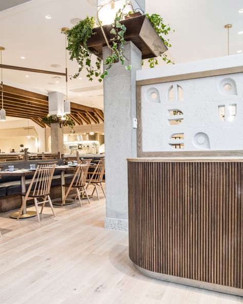 West Coast Restaurant Design, San Churro, Dividers Ideas, Coast Restaurant, Host Stand, Wooden Beams Ceiling, Marina Resort, Furniture Board, Coastal California