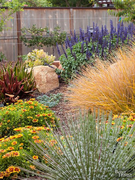 In many parts of the country, water resources are becoming scarcer. That's why it's a good idea to landscape your home using waterwise techniques. Called xeriscaping, this process will help you have a less thirsty backyard. Here's how to do it. Low Maintenance Garden Design, Xeriscape Landscaping, Landscape Tips, Drought Tolerant Garden, Drought Resistant Plants, Drought Tolerant Landscape, California Garden, Meteor Garden 2018, Low Maintenance Landscaping