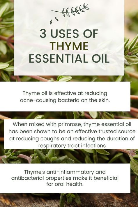 "Thyme for Wellness: 3 Invigorating Uses of Thyme Essential Oil! 🌞🍃" Thyme Essential Oil Benefits, Food Seasoning, Thyme Plant, Thyme Essential Oil, Thyme Oil, Essential Oil Diffuser Blends Recipes, Essential Oil Benefits, Essential Oil Diffuser Blends, Oil Diffuser Blends