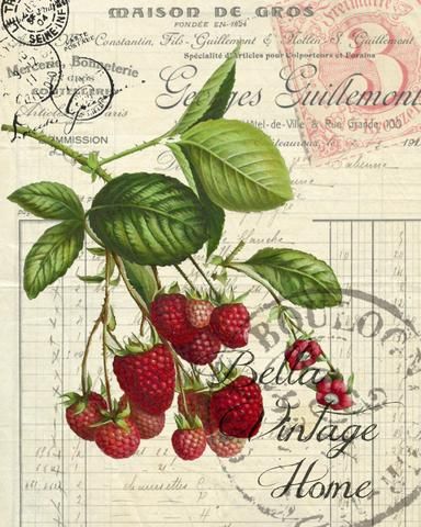 Era Victoria, Poster Sport, Foto Transfer, Red Raspberry, Print Pillow, Iron Wall Art, Decoupage Paper, Vintage Printables, Vintage Labels