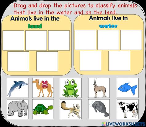 Animals Live In Water And Land Worksheet, Land Animals Worksheet, Animals Live In Water, Living On Land, Preschool Assessment, Worksheets For Grade 1, Big Shark, Animal Worksheets, Worksheets Kindergarten