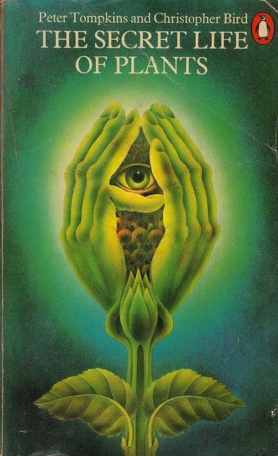 Penguin First edition 1975.Cover illustration by Alan Aldridge and Harry Willock. Poster Grafico, Occult Books, Psy Art, Vintage Book Covers, Seeing Eye, All Seeing Eye, Tableau Art, All Seeing, Visionary Art