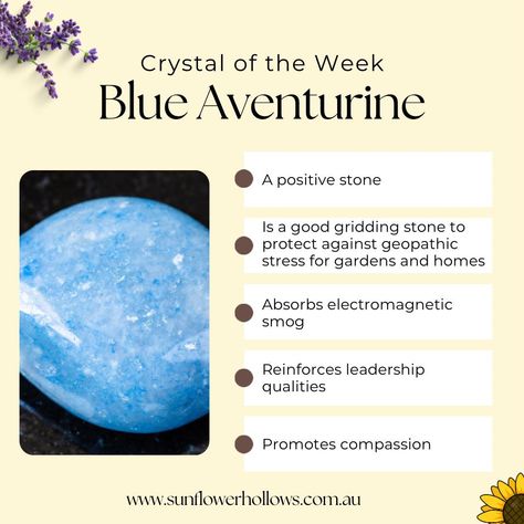 The crystal of the week is 🥁 BLUE AVENTURINE 🌻 Blue Aventurine is said to 🌻 Be a powerful mental healer 🌻 Be a positive stone 🌻 Be a good gridding stone to protect against geopathic stress for gardens and the home 🌻 Absorb electromagnetic smog 🌻 Protect against environmental pollution 🌻 Reinforce leadership qualities 🌻 Promote compassion Among other things. Follow the link in our bio to find these on sunflowerhollows.com.au #brisbanecrystalshop #australiancrystalshop #crystalsforsalea... Crystal Magick, Blue Aventurine, Environmental Pollution, Leadership Qualities, Crystal Shop, Pollution, Leadership, Crystals, Stone