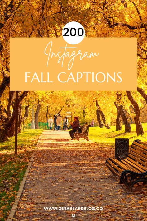 Fall Beauty Quotes, Fall Break Captions, Fall Outfit Captions For Instagram, Fall Outfit Captions, Fall Photo Quotes, Fall Family Quotes, Captions For Fall Pictures, Fall Ig Captions, Fall Photo Captions