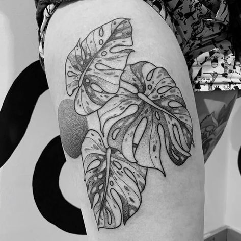 Variegated Monstera Tattoo, Monstera Deliciosa Tattoo, Botanical Tattoo Sleeve, Monstera Tattoo, Monstera Variegata, Plant Tattoos, Back Of Shoulder Tattoo, Plant Tattoo, Botanical Tattoo