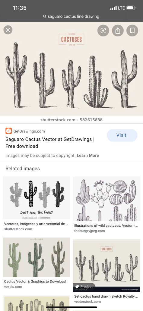 Saguaro Cactus Tattoo, Cactus Vector, Cactus Tattoo, Cactus Drawing, Tree Tattoos, Saguaro Cactus, Tree Tattoo, Tattoo Inspo, Line Drawing