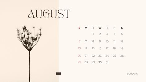 Cute August 2023 Floral Calendar Wallpaper August Calendar Wallpaper, August Wallpaper, Floral Calendar, August Calendar, Fashion Calendar, Cute Calendar, 2023 Calendar, Modern Sans Serif, Calendar Templates