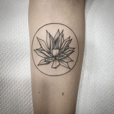 Ciro Calì Tattooer on Instagram: “Micro agave, 6,5 cm #agave #agaveplant #agavetattoo #italianbotanicaltattoos #mexicanplants #sicilia #siciliabedda #finelinetattoo…” Mexican Plant Tattoo, Agave Flower Tattoo, Agave Plant Tattoo Simple, Agave Plant Tattoo, Agave Tattoo, Blue Agave Plant Tattoo, Succulents Tattoo Black And White, Cool Forearm Tattoos, Plant Tattoo