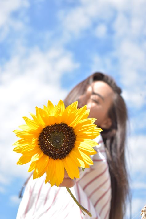 Sunflower Portrait, Sunflower Photography, Summer Sunflower, Photo Album Layout, Sunflower Photo, Sunflower Pictures, Art Photography Portrait, Studio Photography Poses, Creative Photoshoot Ideas