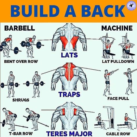 Gym Back Workout, Back Workout Routine, Miracle Workers, Workout Gym Routine, Gym Workout Guide, Best Gym Workout, Gym Workout Planner, Bodybuilding Workout Plan, Gym Workout Chart