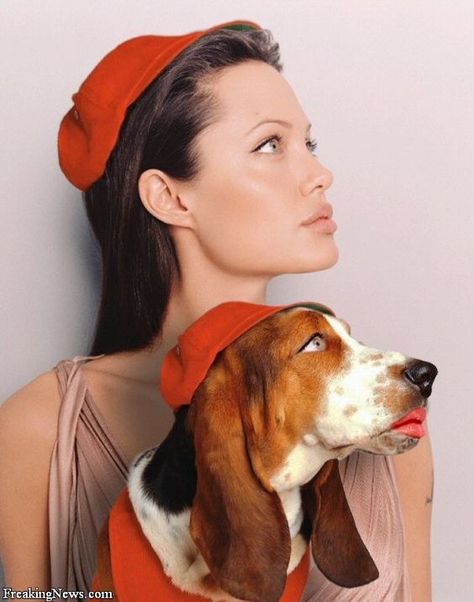 26 Celebrities With Basset Hounds | Page 2 of 6 | The Paws Celebrity Dogs, Pet People, Bassett Hound, Basset Hounds, Wolf Dog, Hound Dog, Basset Hound, Dog Photography, Angelina Jolie