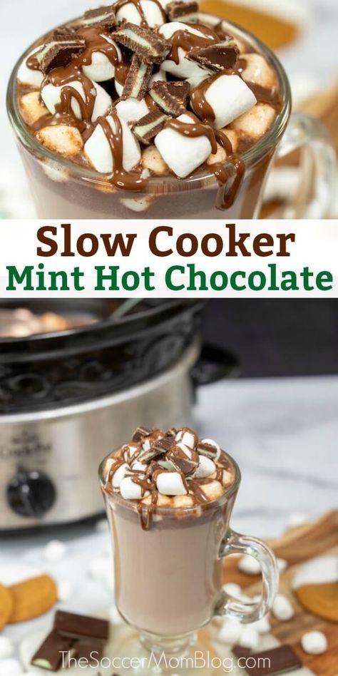 Crockpot Hot Cocoa, Mint Hot Chocolate Recipe, Crock Pot Hot Chocolate Recipe, Mint Hot Chocolate, Classic Hot Chocolate, Crockpot Hot Chocolate, Hot Chocolate Milk, Hot Drinks Recipes, Andes Mint