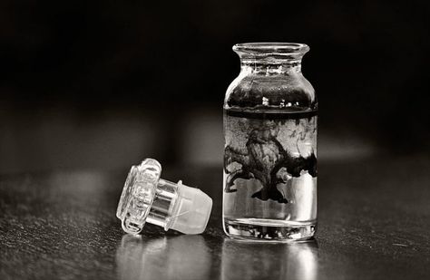 Poison Vial, Pandora Moon, Poison Aesthetic, Hp Fanfiction, Magic Aesthetic, Antique Bottles, Urban Fantasy, Save Life, Romeo And Juliet