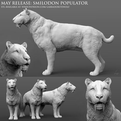 Saber Toothed Tiger, 3d Print Design, Wild Shape, Extinct Species, Prehistoric Wildlife, Tiger Pictures, Pathfinder Rpg, Dark Blood, Extinct Animals