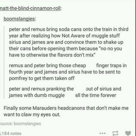 The question is what would be James and Sirius' revenge James Finds Out About Wolfstar, Yer A Wizard Harry, Harry Potter Headcannons, Harry Potter Jokes, Harry Potter Marauders, Harry Potter Obsession, Mischief Managed, Harry Potter Universal, Harry Potter World