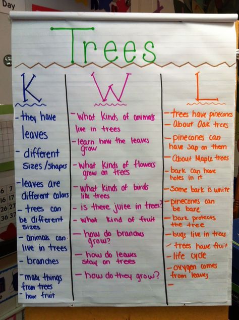 We started a new Science unit on Trees!  Ms. Arboe had us help her make a KWL Chart.  We started our KWL chart by listing things we already... Kwl Chart For Trees, Tree Study For Prek, Teaching Strategies Tree Study, Preschool Tree Theme, Preschool Tree Study Activities, Project Approach Preschool Ideas, Prek Tree Study, Tree Study Creative Curriculum Preschool Dramatic Play, Trees Theme Preschool