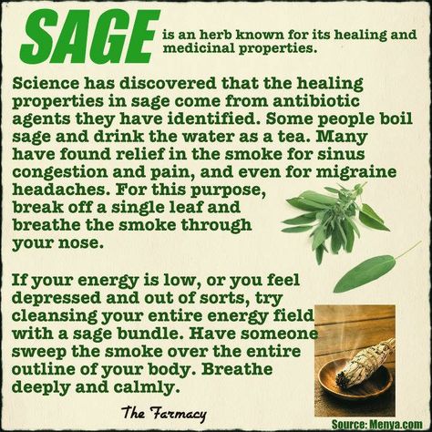 sage <3 has many wonders Benefits Of Sage, Sage Benefits, Burning Sage, Magic Herbs, Magical Herbs, Healing Plants, Herbal Healing, Herbal Magic, Healing Herbs