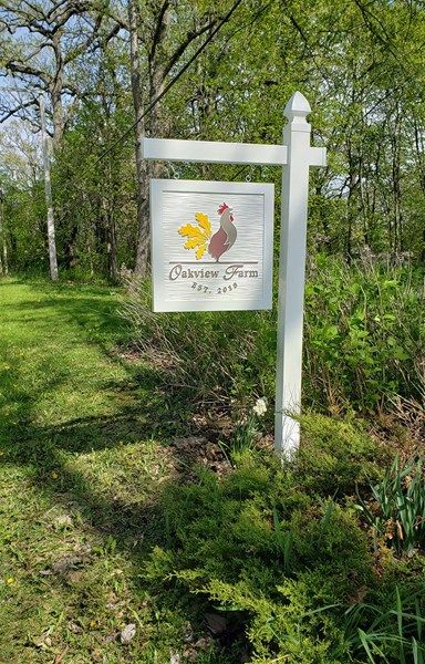 Carved & Routed Signs Farm Signs Entrance, Business Yard Signs, White Fence Farm, Driveway Sign, Business Signs Outdoor, Farm Entrance, Entrance Signage, Wooden Carved Signs, Mailbox Design