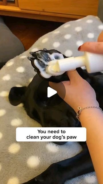 Howlsyourday on Instagram: "🐕LINK IN BIO🐕 Get this Waterless Dog Paw Cleaner to keep your dog's paw clean and healthy! 🥰" Dog Paw Care, Dog Paw Cleaner, Paw Care, Pets Accessories, Paw Cleaner, Instagram Link, Pet Paws, Cat Stuff, Universal Design