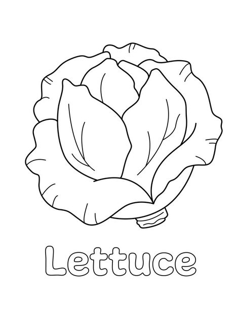 Lettuce Coloring Page from LittleBeeFamily.com Spring Fruits, Coloring Pages Activities, Preschool Food, Diy Coloring Books, Vegetable Coloring Pages, Leaf Coloring Page, Bee Family, Winter Activities Preschool, Spring Fruit