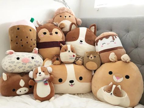 Cute Squishmallows Big, Beige Squishmallows, Neutral Squishmallows, Rare Squishmallows Aesthetic, Aesthetic Squishmallows, Rare Squishmallows, Squishmallow Collection, Teddy Pictures, Cool Fidget Toys