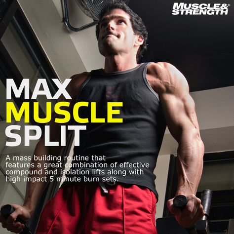 4 Day Maximum Mass Workout. A mass building routine that features a great combination of effective compound and isolation lifts along with high impact 5 minute burn sets.