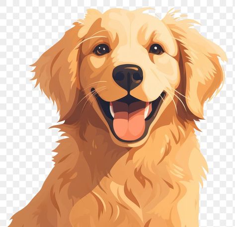 Golden Retriever Clipart, Retriever Illustration, Golden Retriever Illustration, Perros Golden Retriever, Face Cartoon, Pet Illustration, Lion Dog, Pet Vet, Illustration Cartoon