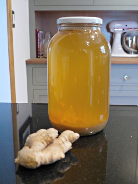 Make Your Own Healthy Ginger Ale Fermented Ginger, Ginger Ale Recipe, Ginger Bug, Homemade Soda, Fermentation Recipes, Smith Family, Fermented Drink, The Smith, Ginger Ale