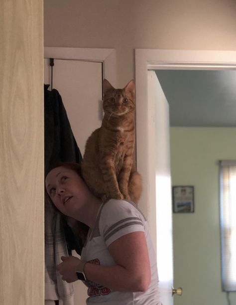 My cat pikachu standing on my fiancés shoulder. Person With Cat On Shoulder, Cat On Shoulder Drawing, Cat On Shoulder, Shoulder Drawing, Cat Poses, Cat Stands, Cat Pose, Pose References, Silly Cats