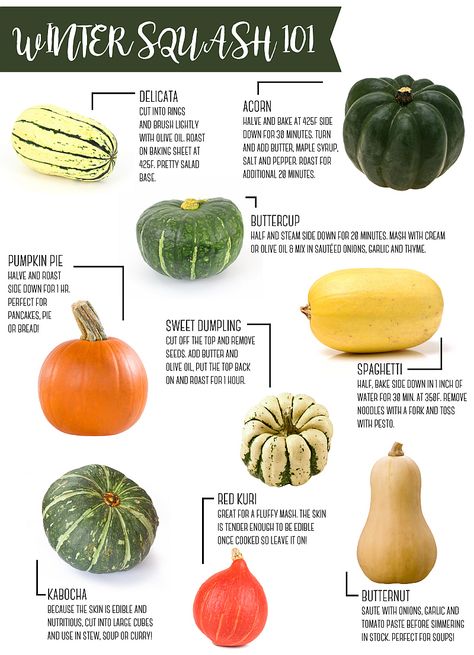 Types Of Squash, Easton Md, Healthy Book, Sweet Dumplings, Green Meals, Plant Identification, Fall Treats, Winter Squash, Squash Recipes