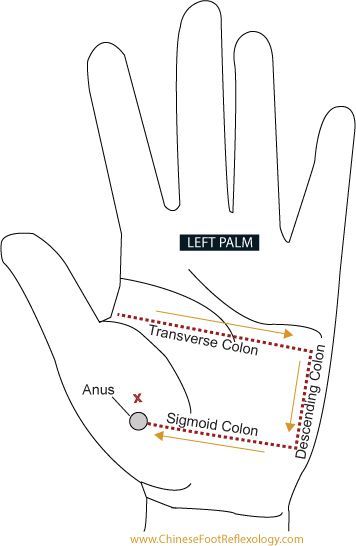 Reflexology for constipation Pressure Points For Constipation, Ways To Relieve Constipation, Medical Qigong, Help Constipation, Healing Naturally, Qigong Meditation, Reflexology Points, Hand Reflexology, Lymph Drainage