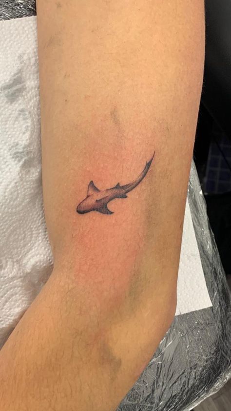 Hammerhead Tattoo, View Tattoo, Small Shark Tattoo, Tattoo Shark, Tattoos Dainty, Hai Tattoo, Tattoos Cross, Element Tattoo, Stingray Tattoo