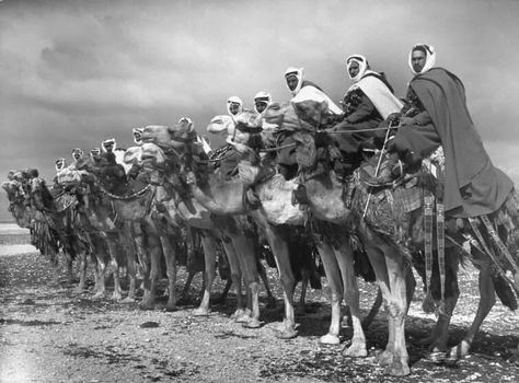 Camel Cavalry,Damascus,1940(LIFE) Arab Revolt, Margaret Bourke White, Damascus Syria, المملكة العربية السعودية, Historical Pictures, Life Pictures, Picture Collection, Life Magazine, Black And White Photographs